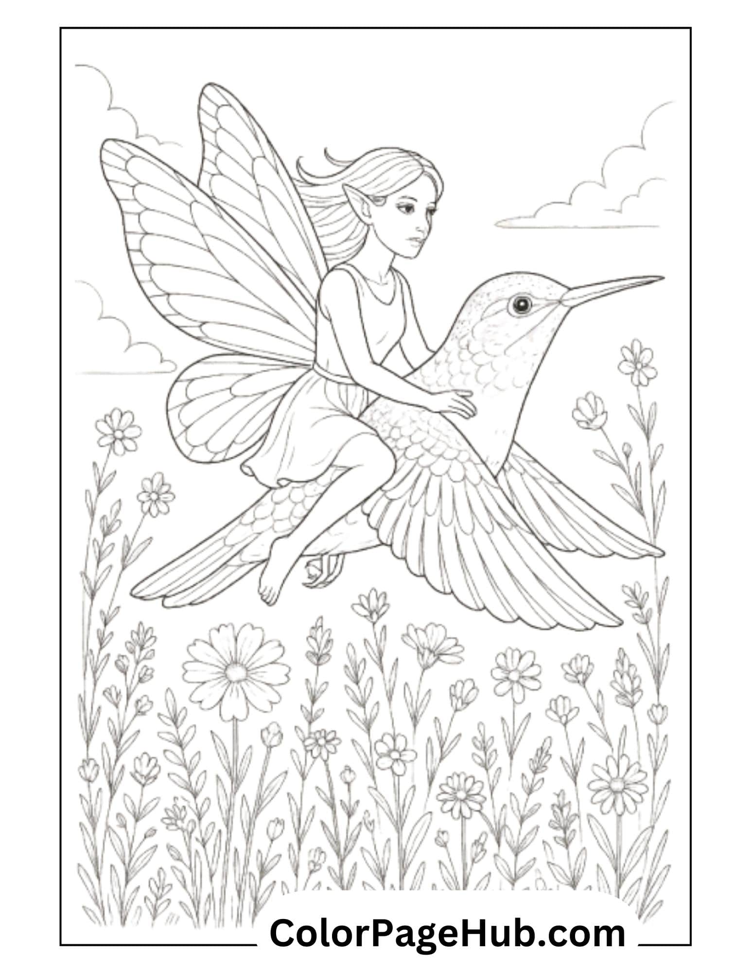 Magical fairy coloring page featuring a winged fairy riding a hummingbird above a meadow of wildflowers, perfect for fantasy lovers and creative coloring enthusiasts