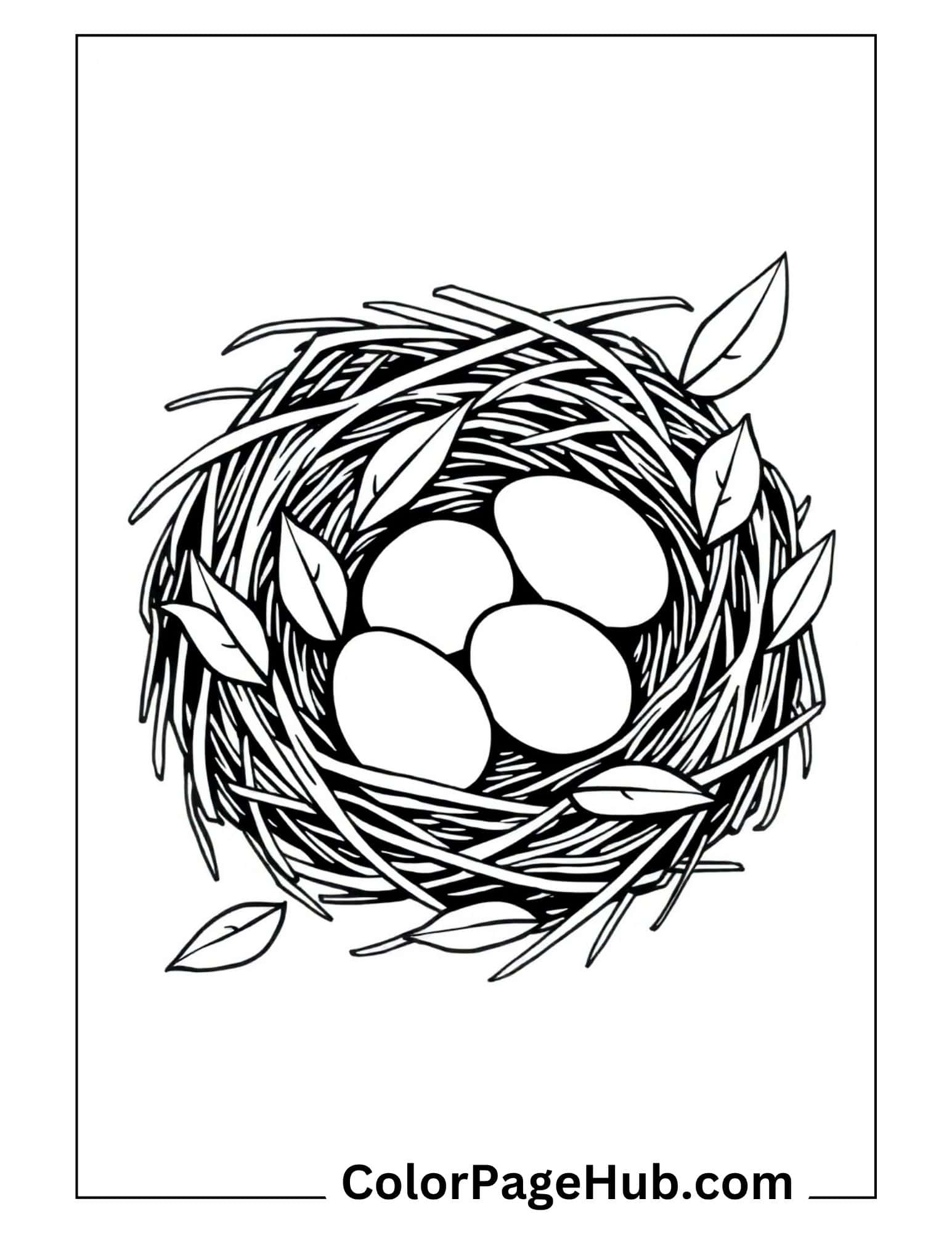 Bird coloring pages featuring detailed nest with eggs and leaves - intricate nature design for advanced coloring