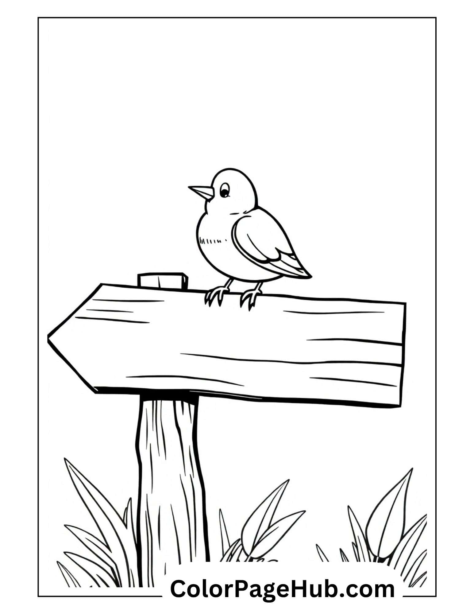 Bird coloring pages featuring cute bird perched on wooden sign post with grass - simple outdoor scene for kids