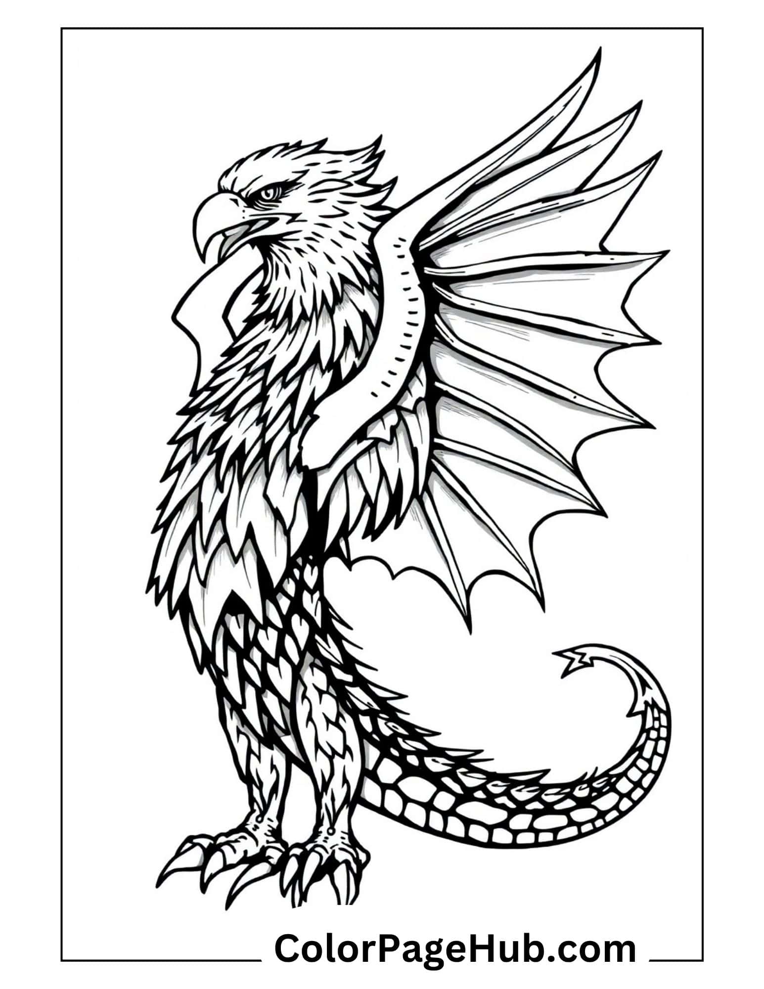 Bird coloring pages featuring mythical eagle dragon with detailed feathers, wings and tail - fantasy printable design