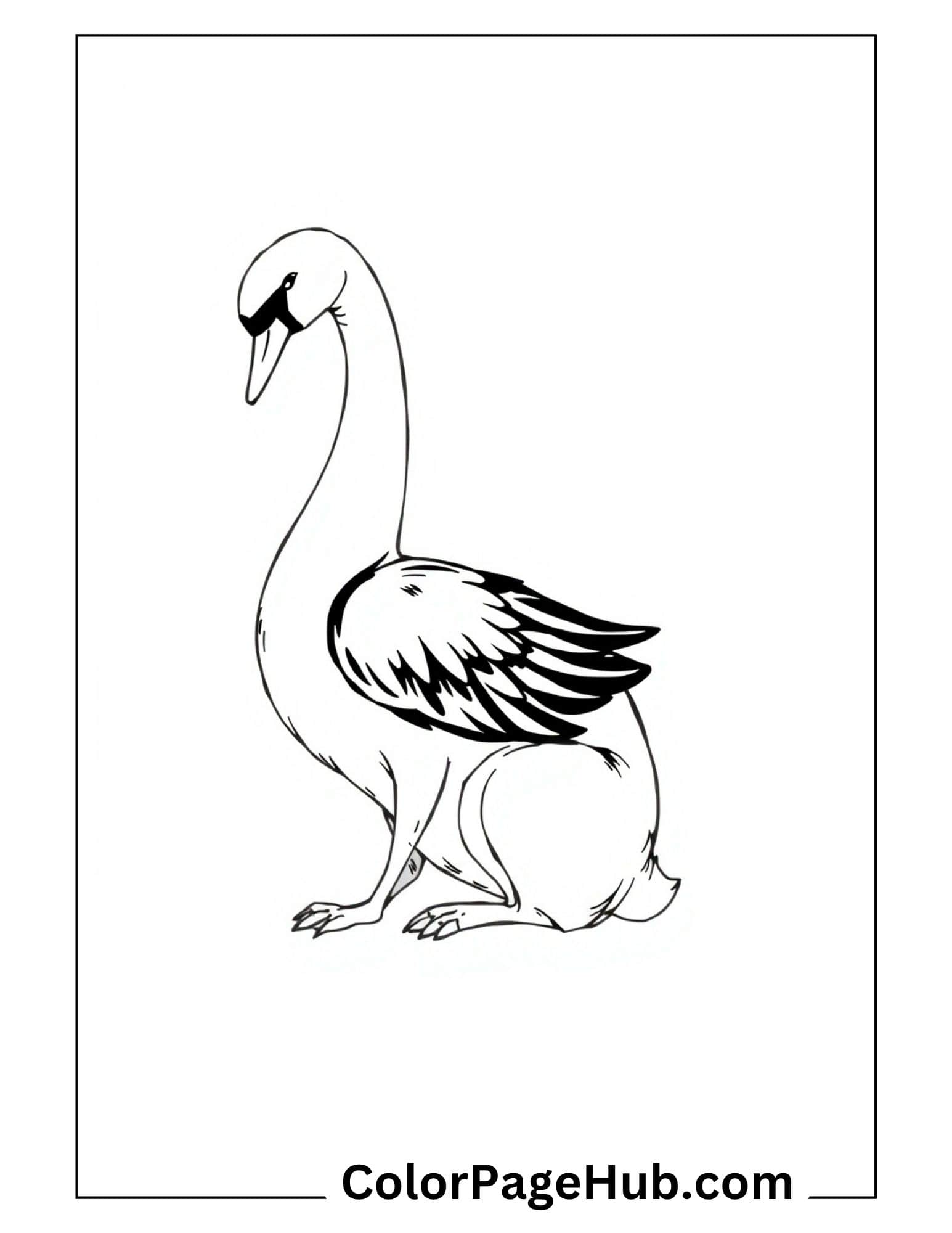 Bird coloring pages featuring elegant swan with curved neck and detailed wing feathers - beautiful printable activity