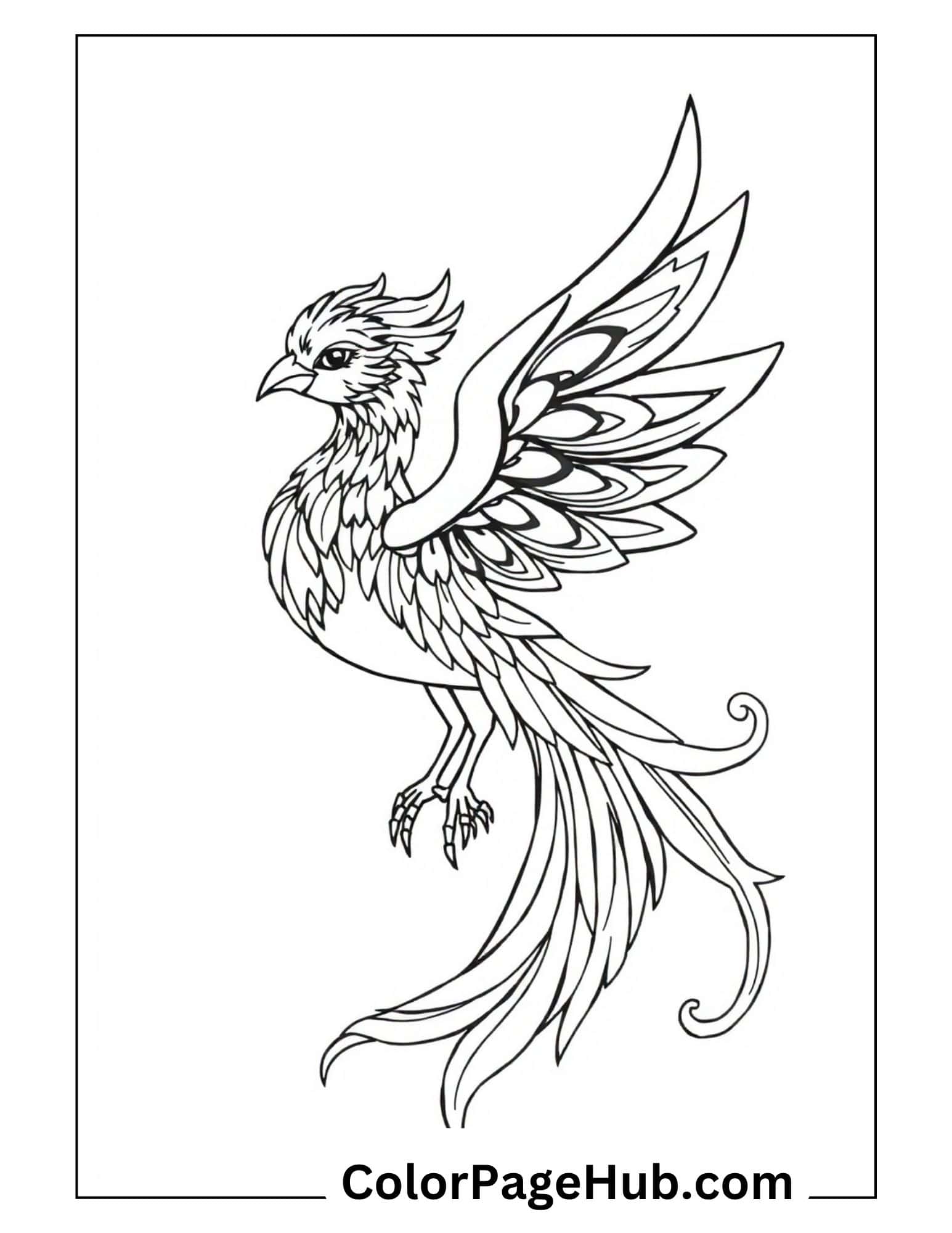 Bird coloring pages featuring elegant phoenix with flowing feathers and detailed wings - mythical bird coloring design