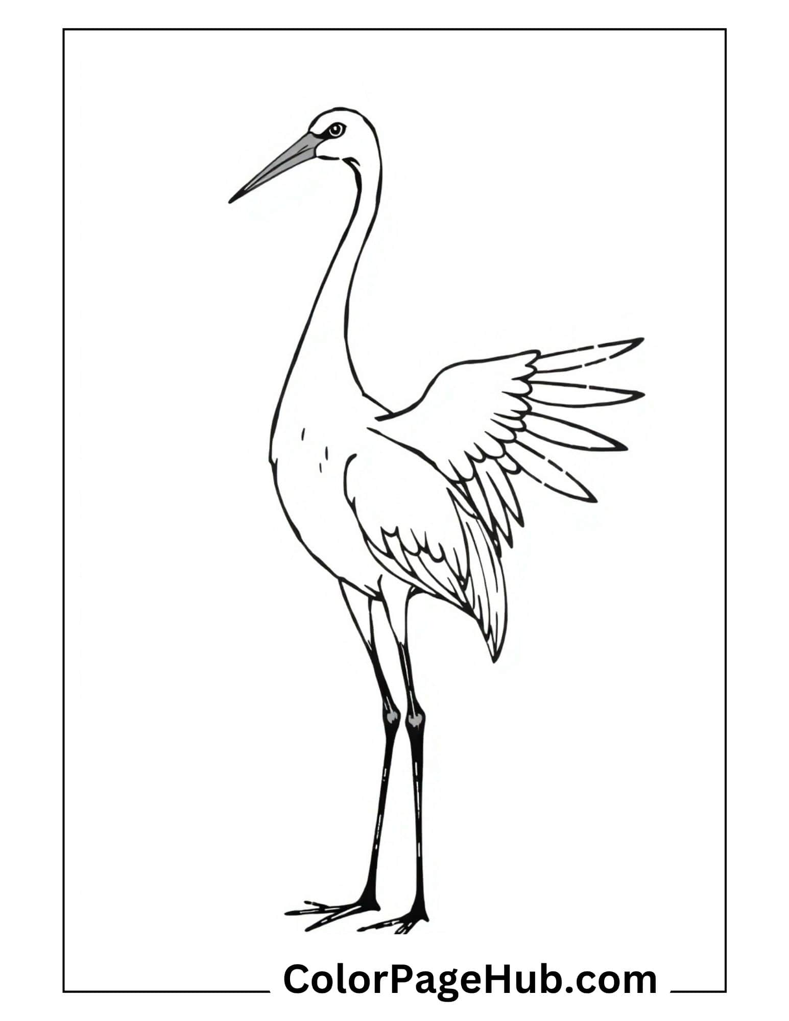 Elegant crane bird coloring pages outline with detailed feathers and long legs for kids printable activity