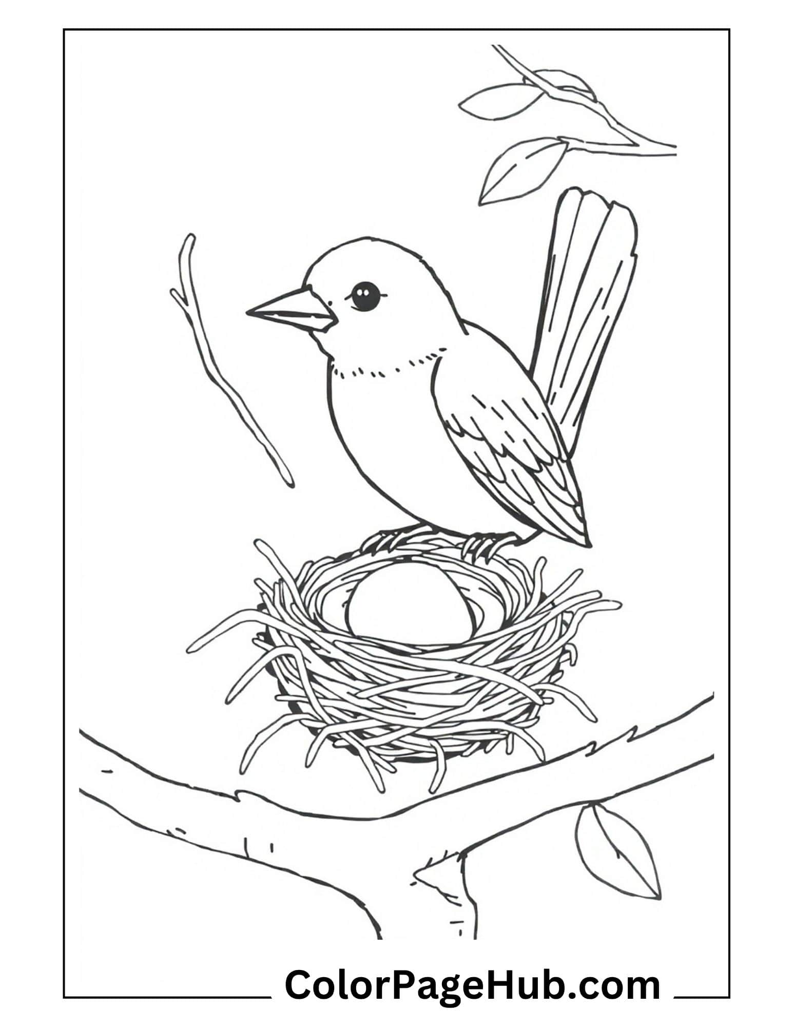 Bird coloring pages featuring a cute bird sitting on nest with egg on tree branch - free printable coloring sheet
