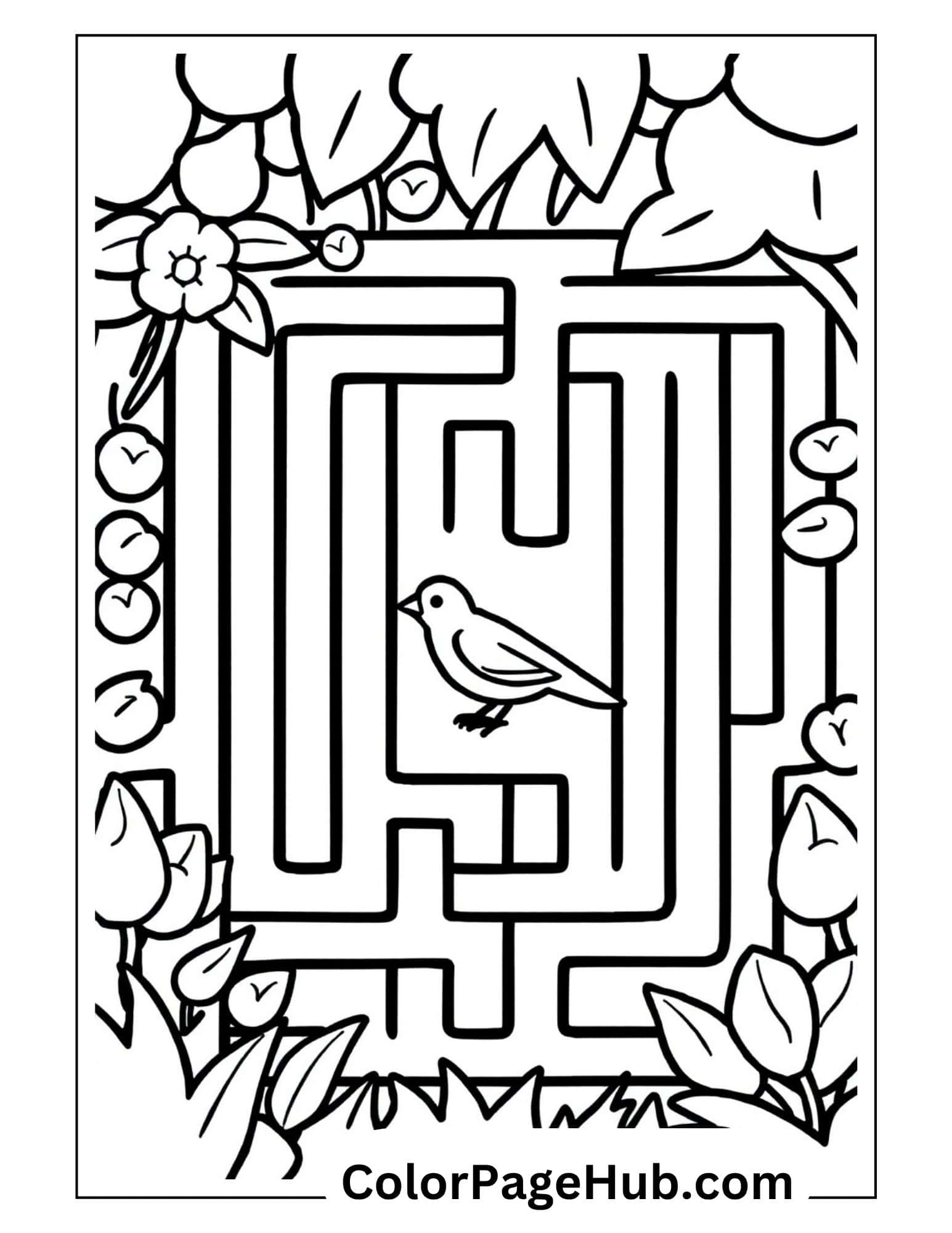 Bird coloring pages featuring maze puzzle with bird center and floral border - educational activity combining fun and learning