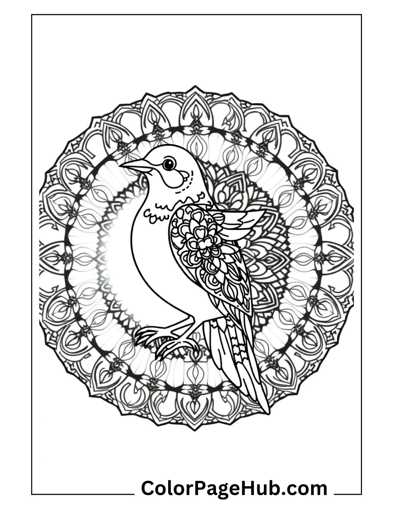 Bird coloring pages with decorative peacock mandala featuring intricate patterns - detailed adult coloring design