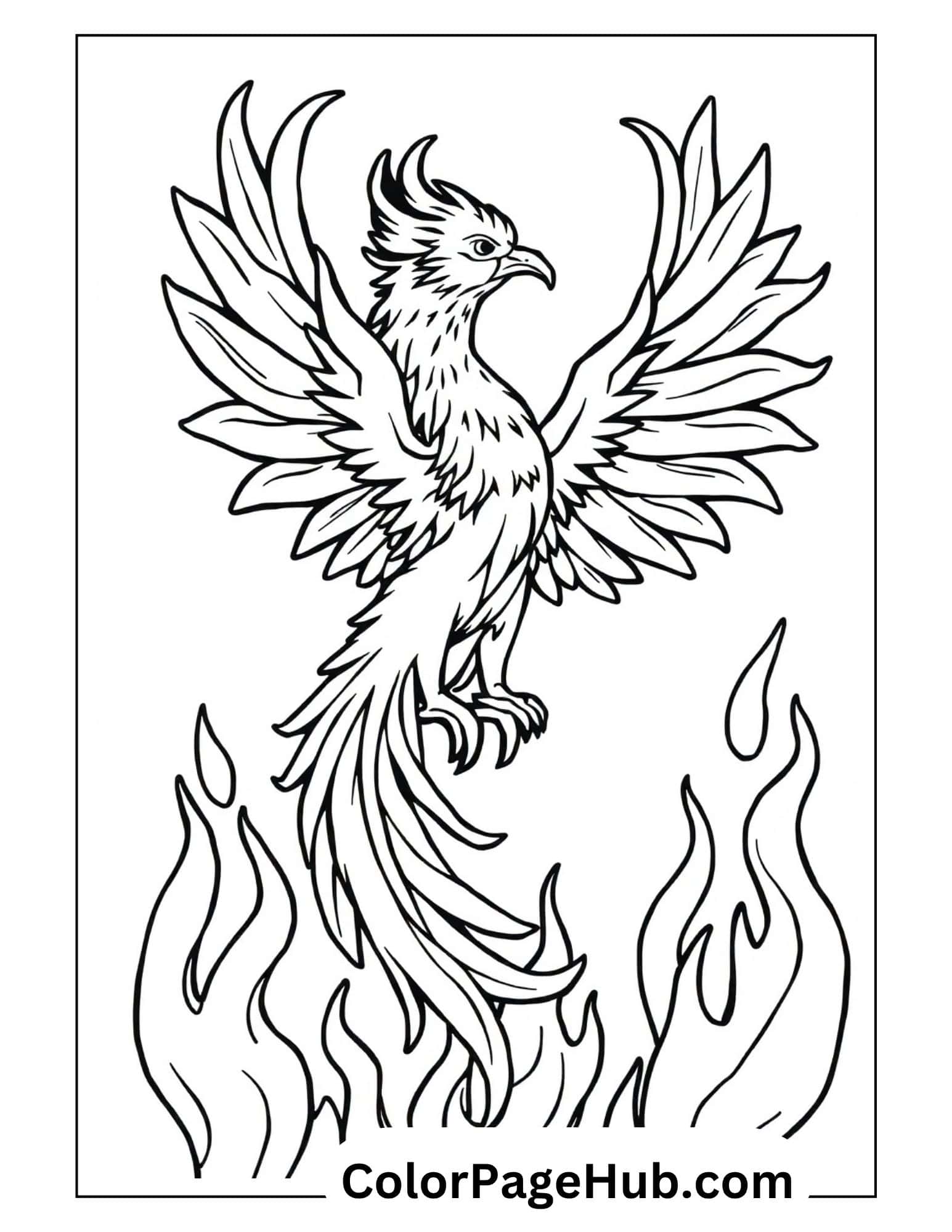 Majestic phoenix bird coloring pages with spread wings and flames mythical firebird outline for kids