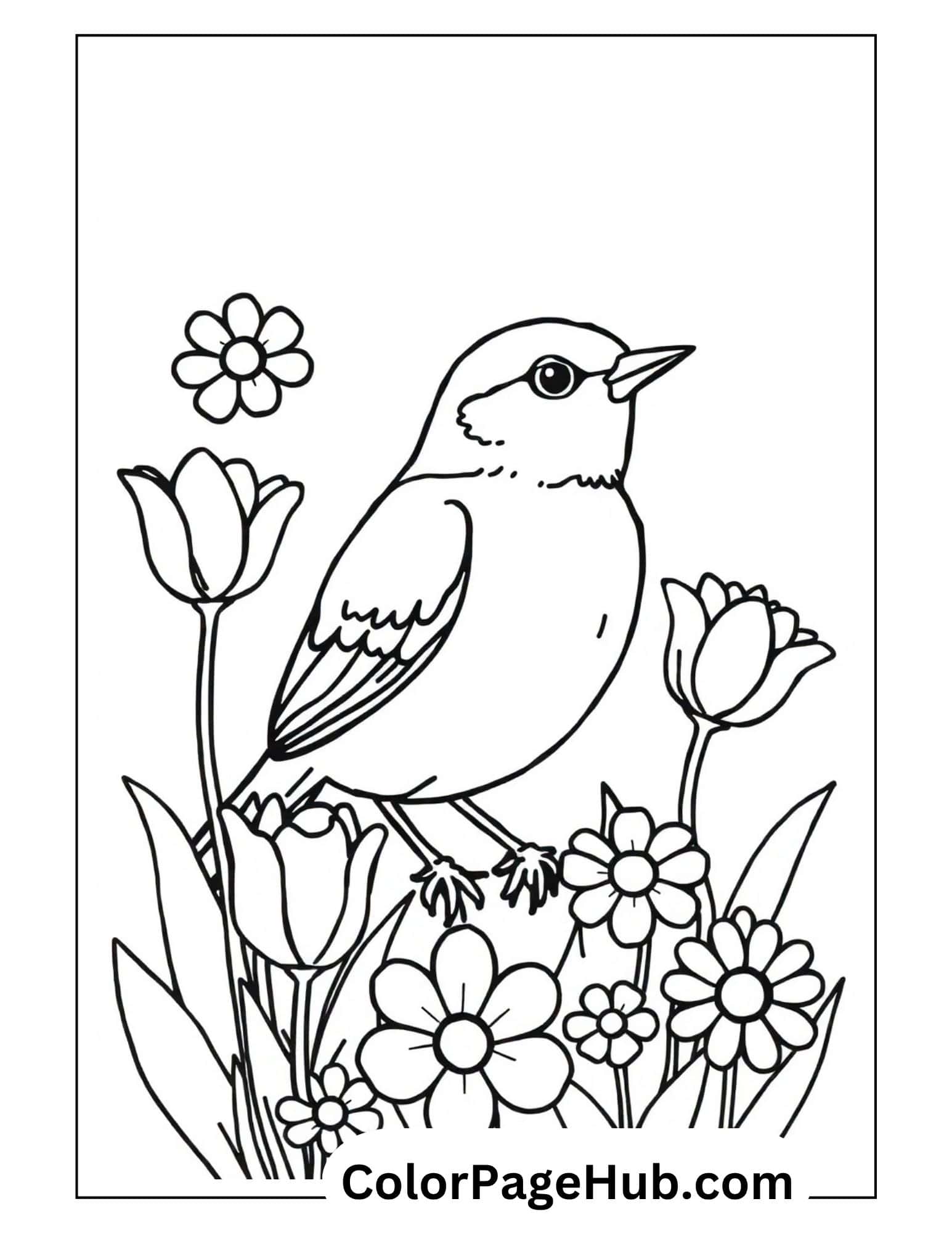 Bird coloring pages with sweet bird among blooming flowers and tulips - charming spring garden scene design