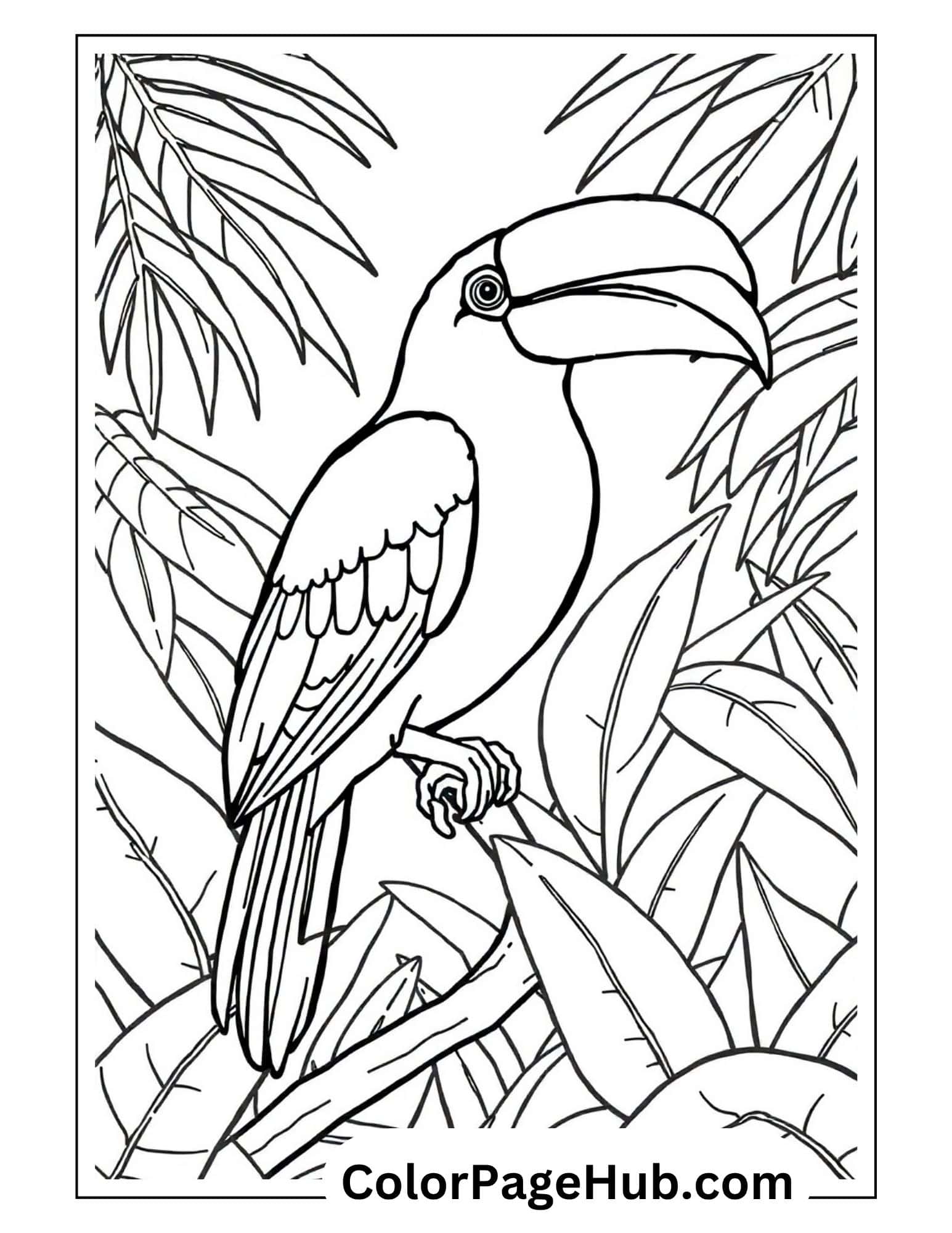 Bird coloring pages featuring exotic toucan with large beak among tropical palm leaves - detailed jungle scene design